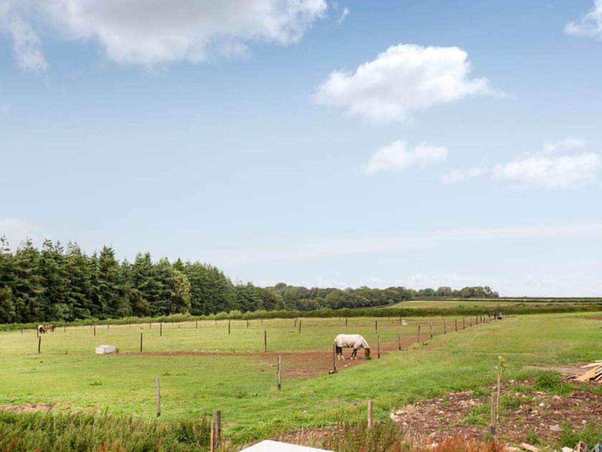 Cosy Cottage In The Blackdown Hills Devon โฮนิทัน ภายนอก รูปภาพ